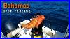 Solo_Reef_Fishing_In_Bahamas_In_My_Small_Single_Engine_Crooked_Pilothouse_Boat_Miami_To_Bimini_01_sj